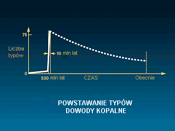 Rys. J: Powstawanienie typów: dowody kopalne