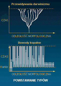 Rys. K: Teoria ewolucji kontra dowody kopalne