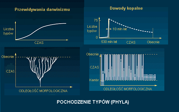 Rys. M: Teoria ewolucji kontra dowody kopalne. Zbiorcze zestawienie przewidywań teorii ewolucji z dowodami kopalnymi.