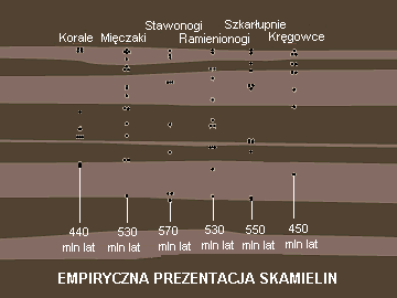 Rys. E: Empiryczna prezentacja skamieniałości.