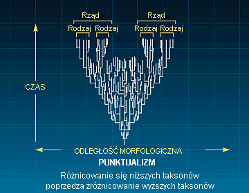 Rys. O: Teoria naruszanej równowagi (punktualizm)