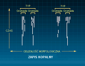 Rys. P: Zapis kopalny