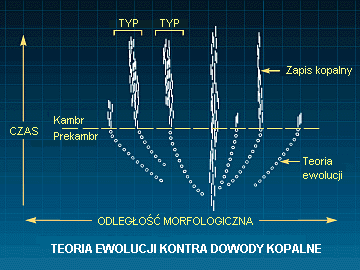 Rys. S: Teoria ewolucji kontra dowody kopalne