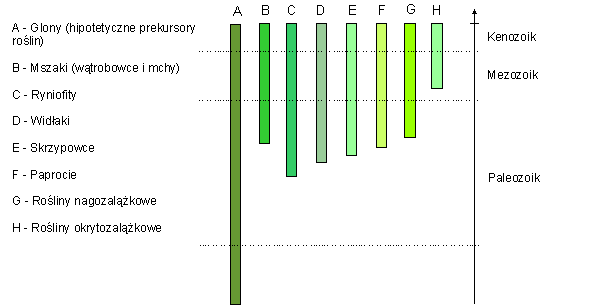 Rys. T1: Powstawanie roślin: zapis kopalny