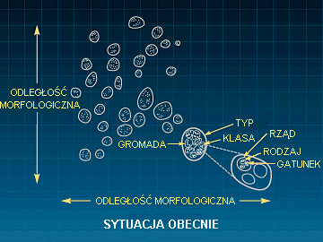 Rys. W: Sytuacja obecna