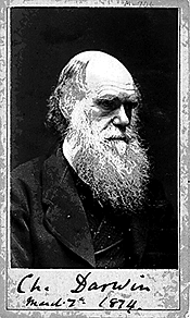 Karol Darwin 1874.gif