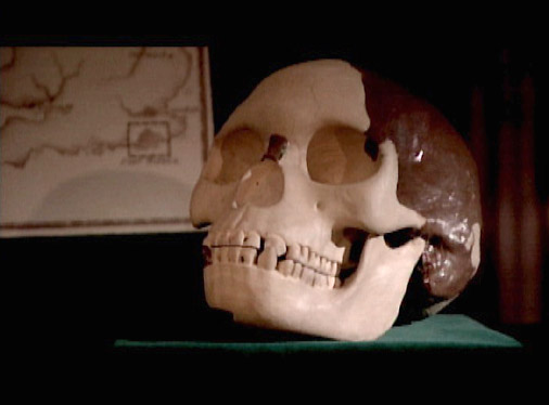 Piltdown man.jpg